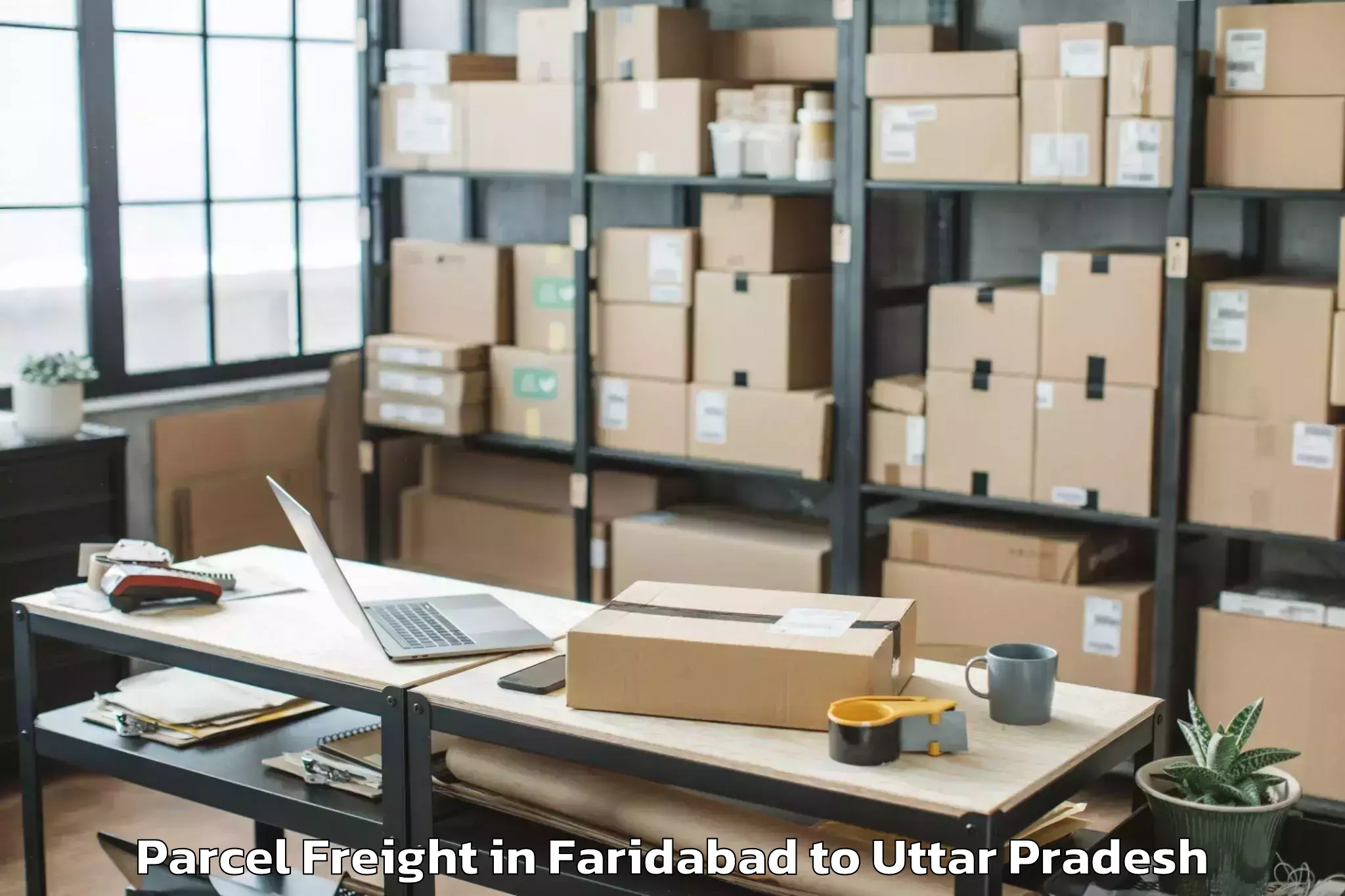 Top Faridabad to Gardens Galleria Mall Noida Parcel Freight Available